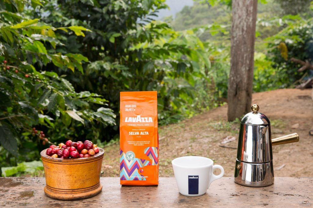 selva-alta-contestualizzata-1024x682