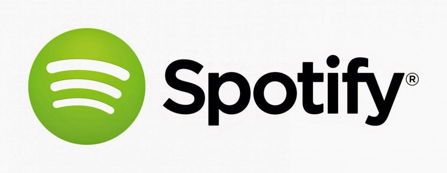 spotify-logo-primary-horizontal-light-background-rgb-e1475144028646